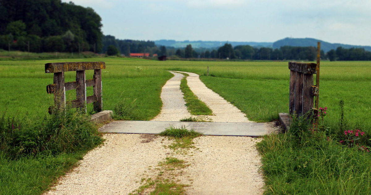 Farm driveway view.